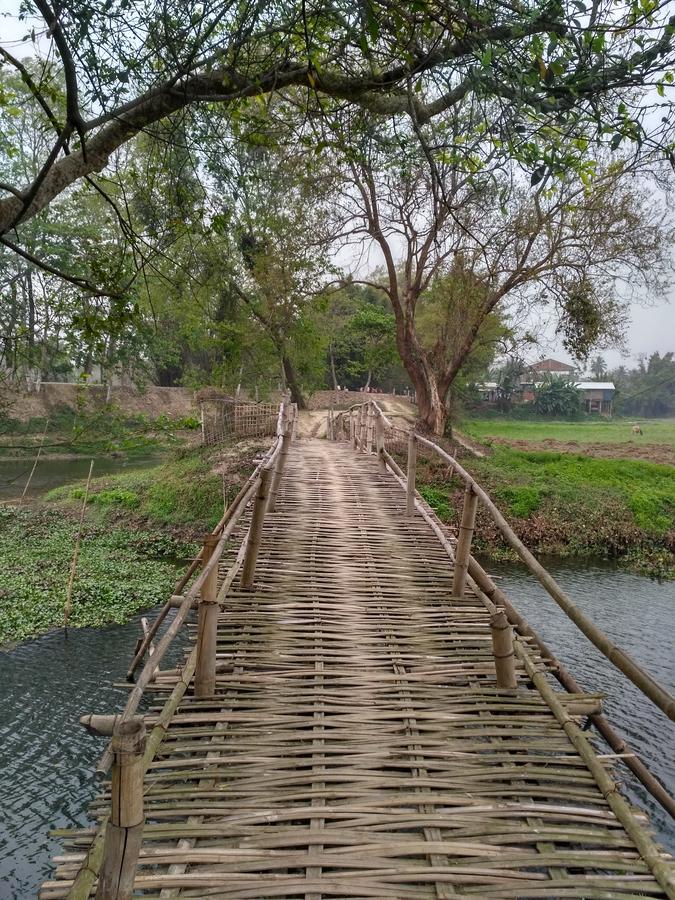 Yagdrasill Bamboo Cottage Bamungaon Bagian luar foto
