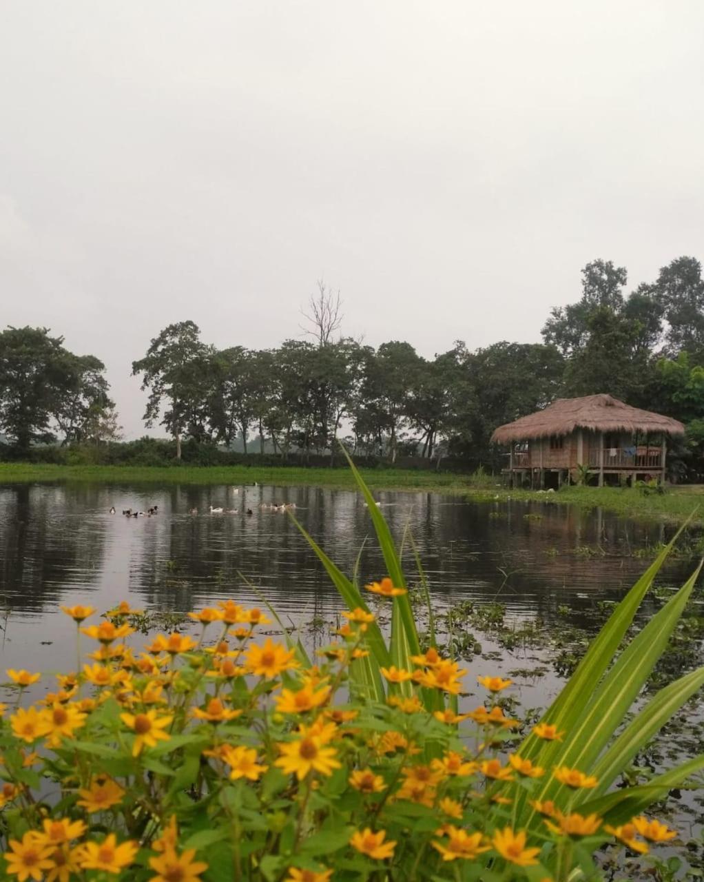 Yagdrasill Bamboo Cottage Bamungaon Bagian luar foto